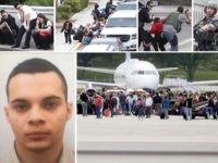 Live Updates: 13 Wounded at Fort Lauderdale Airport