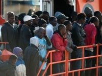 migrants