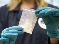 FILE - In this Aug. 9, 2016, file photo, a bag of 4-fluoro isobutyryl fentanyl which was seized in a drug raid is displayed at the Drug Enforcement Administration (DEA) Special Testing and Research Laboratory in Sterling, Va. Acting United States DEA administrator Chuck Rosenberg will visit China next week amid efforts to cut off the Chinese supply of deadly synthetic drugs, like fentanyl. China disputes U.S. claims that it’s the top source of opioids. Still, Beijing has already banned fentanyl, an opioid some 50 times stronger than heroin, and 18 related compounds. (AP Photo/Cliff Owen, File)