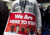 Immigration Rallies Trump
