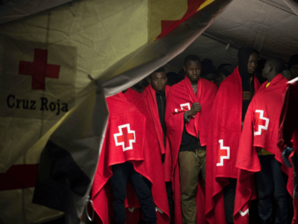 Red Cross Therapist Stabbed to Death by Syrian Asylum Seeker