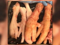 Woman Detained at DFW Airport for Allegedly Smuggling Raw Animal Brains, Other Animal Parts in Luggage