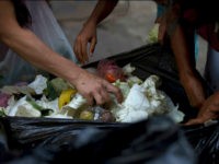 In this June 2, 2016 photo, people search a garbage bag for vegetables and fruit outside a supermarket in downtown Caracas, Venezuela. Unemployed people picking through food tossed out by nearby shops are frequently joined by small business owners, college students and pensioners, people who consider themselves middle class. Living standards have long ago been pulverized by triple-digit inflation and food shortages, pushing some to turn to urban farming to get vegetables back into their diets. (AP Photo/Fernando Llano)