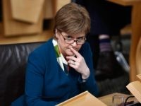 sturgeon