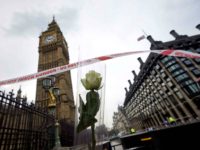 A flower left in tribute to the victims of the March 22 terror attack is seen next to the Palace of Westminster