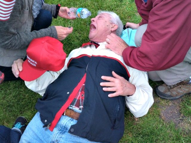 Image result for elderly trump supporter bein pepper sprayed