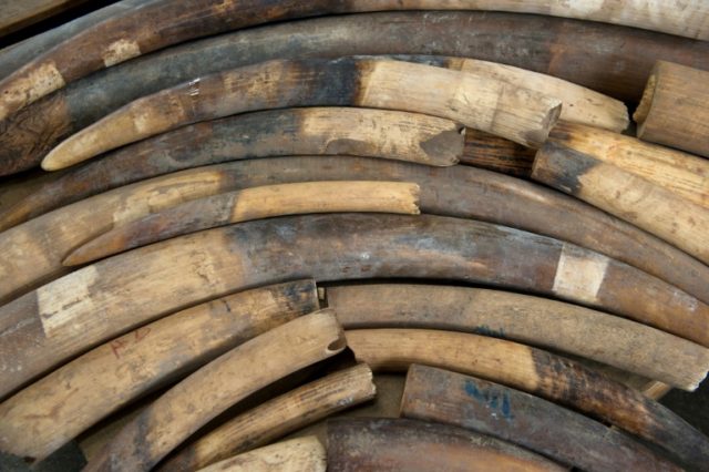 Radiocarbon dating antiques