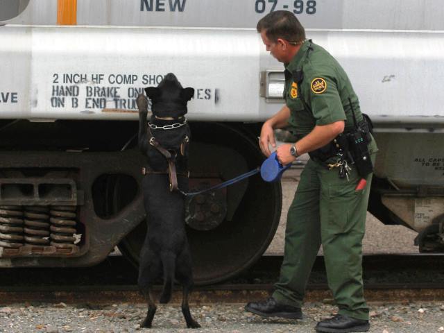 Border Patrol Agents Arrest More Previously Deported Sex Offenders