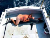Nude man, shark Twitter:@AnnekaSvenska Nude man, shark Twitter:@AnnekaSvenska