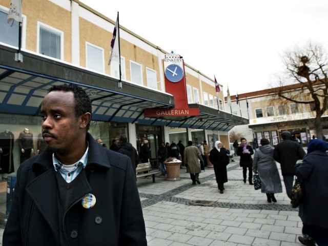 Swedish Police Hunt for Danes Who Burned Qur'an in No-Go
Zone
