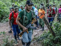 FARC guerrillas march in column during a review at their camp in the Transitional Standardization Zone in Pondores, La Guajira department, Colombia on April 3, 2017. The Colombian government reported that the FARC guerrillas provided a total list with the names of the 6,084 members of the rebel group who have gathered in 26 'standardization zones' across the country, where they are building accomodations that will house them until the end of the disarmament process, outlined in the peace agreement reached in November 2016. / AFP PHOTO / Joaquin Sarmiento (Photo credit should read JOAQUIN SARMIENTO/AFP/Getty Images)