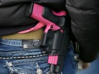 lgbt gun ownership