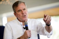 Jeb Bush