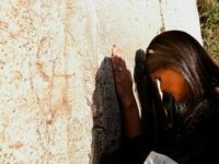haley western wall