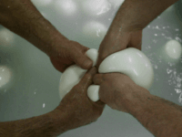 mozzarella