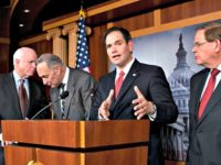 Rubio and Gang of Eight