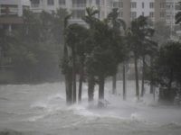 MIAMI, FL - SEPTEMBER 10: Water flows out of the Miami River to flood a walk way as Hurricane Irma passes through on September 10, 2017 in Miami, Florida. Hurricane Irma made landfall in the Florida Keys as a Category 4 storm on Sunday, lashing the state with 130 mph winds as it moves up the coast. (Photo by Joe Raedle/Getty Images)