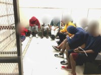 Police in Florida are reporting that dozens have been arrested for looting stores and homes and breaking curfew after mass evacuations due to Hurricane Irma; the curfews were set to protect life and property.