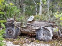 Stone Age car (Korona Lacasse / Wikimedia Commons)