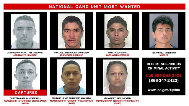 Operation Raging Bull - Most Wanted List - ICE