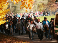 German police lead arriving migrants alongside a street to a transport facility after gathering them at the border to Austria on October 28, 2015 near Wegscheid, Germany. Bavarian Governor Horst Seehofer has accused the Austrian government of wantonly shuttling migrants in buses from the Slovenian border across Austria and dumping them at all hours of day and night at the border to Germany. German authorities have recorded over 7,000 migrants arriving daily since the weekend as a bottleneck of migrants in Slovenia and Croatia finally arrived in Austria. Germany has registered over 800,000 migrants this year and Chancellor Angela Merkel is mounting pressure on European Union member states that so far have shown great reluctance to accept any migrants at all to finally share the burden of accommodating the newcomers, many of whom are refugees fleeing war-torn Syria. (Photo by Johannes Simon/Getty Images)