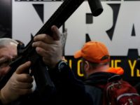 A visitor sights a rifle at a National Rifle Association outdoor sports trade show. The NRA backs Wisconsin's new law allowing children younger than 10 to carry firearms in the forest