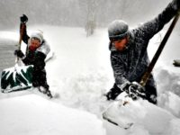 Arctic Blast