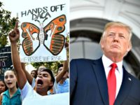 DACA Activists, Trump Split