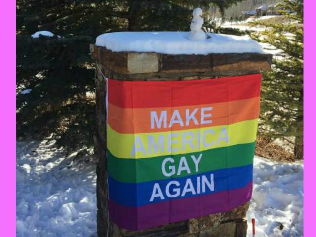 Make America Gay Banner Pence