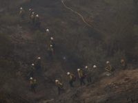 Thomas Fire Firefighters (David McNew / Getty)