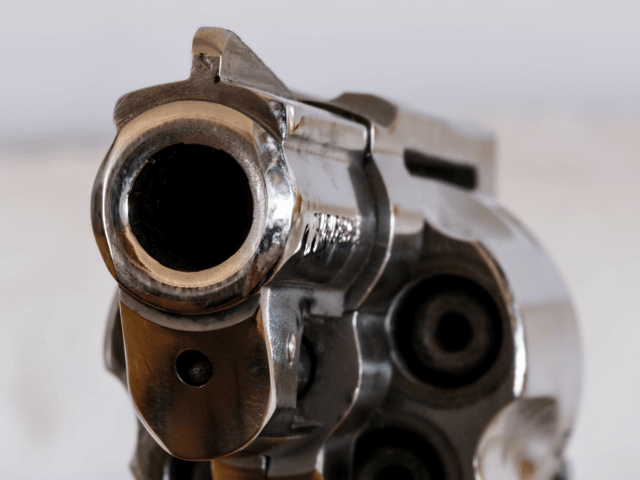 firearm-handgun-revolver-gun-53351