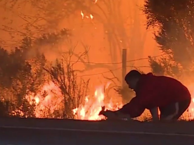 Man pulled over to save a wild rabbit from flames along Highway 1 in Southern California as the massive #ThomasFire spreads toward Santa Barbara County