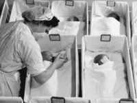 Rows of newly born babies in a maternity ward in a US hospital. (Photo by Three Lions/Getty Images)