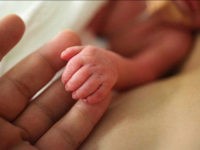 SYDNEY, NEW SOUTH WALES - MAY 17: Premature newborn hand in the Neonatal Intesive Care Unit at Royal Prince Alfred Hospital on May 17, 2015 in Sydney, Australia. The Neonatal care unit at Westmead Children's Hospital specialized in specialy care for newborns. (Photo by Jennifer Polixenni Brankin/Getty Images)