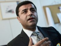 Turkish pro-Kurdish opposition leader Selahattin Demirtas has spent more than a year behind bars Turkish pro-Kurdish opposition leader Selahattin Demirtas has spent more than a year behind bars