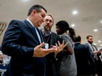 Cruz Slams Trump on Amnesty: ‘Inconsistent with the Promises We Made’