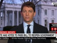 WH Spox Hogan Gidley Slams Graham-Durbin Amnesty Plan — ‘They Want Open Borders’