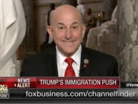 Gohmert: If DACA First, Chances of Wall Are as Much as Schumer Saying ‘Black Conservatives Are the Most Brave People in America’