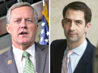Report: Trump Will Not Sign Off on Immigration Deal Unless Mark Meadows, Tom Cotton Approve