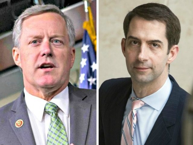 Mark Meadows, Tom Cotton