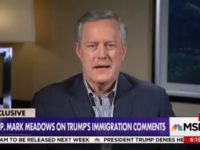 GOP Rep Meadows: ‘I Don’t See the President as a Racist at All’