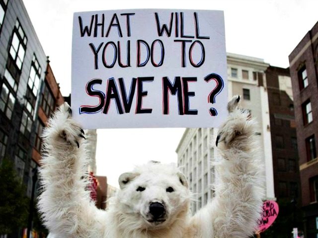 Polar Bear Protest
