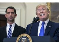 Tom Cotton Beside Trump