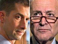 Tom Cotton, Chuck Schumer