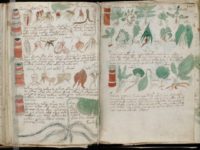 A page from the mysterious 600-year-old Voynich Manucript
