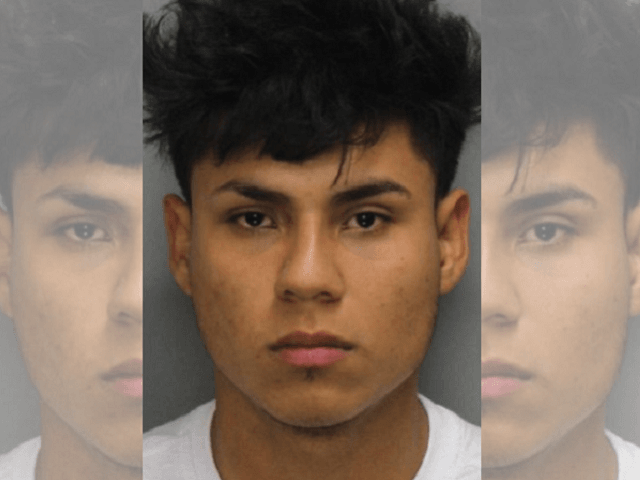 Walter Alex Flores-Sanchez - MS-13