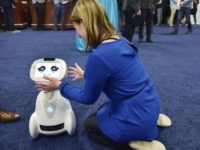 A woman plays with Buddy the companion robot by Blue Frog Robotics during the CES Unveiled preview event in Las Vegas A woman plays with Buddy the companion robot by Blue Frog Robotics during the CES Unveiled preview event in Las Vegas