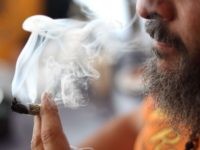 Berkeley marijuana (Justin Sullivan / Getty)