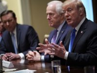 US President Donald Trump speaks during a meeting with bipartisan members of Congress on school and community safety in the Cabinet Room of the White House on February 28, 2018 in Washington, DC. / AFP PHOTO / Mandel NGAN (Photo credit should read MANDEL NGAN/AFP/Getty Images)