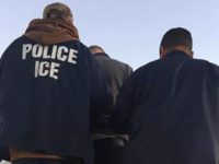 ICE officers remove criminal alien - ICE photo